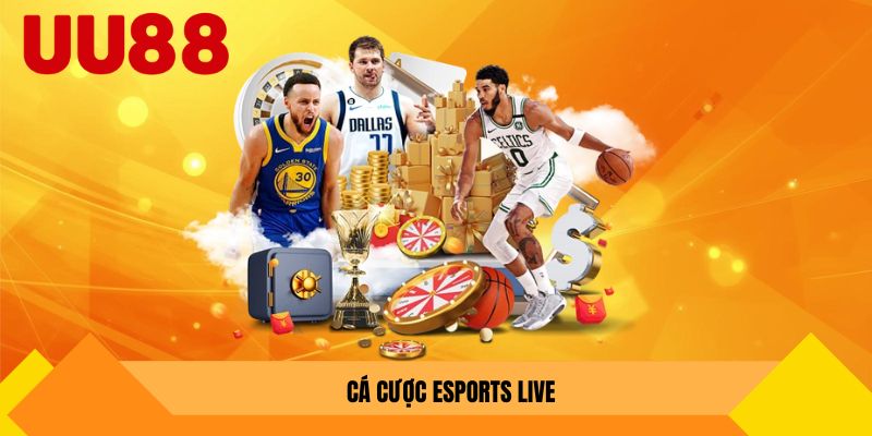 cá cược esports live